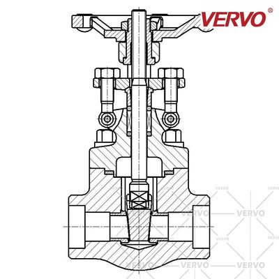 Duplex Gate Valve Stainless Steel DN15 800LB A182 F53 Gate Valve ISO 9001 Certified Stock Valve Stainless Steel Feature